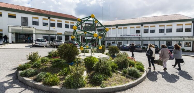 Colmeias organiza caminhada pela consciencialização do autismo