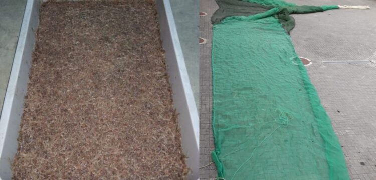 GNR apreende 90 mil euros de meixão em Vieira de Leiria