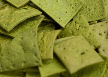 Investimento de 10,7 milhões para produzir microalgas para alimentação