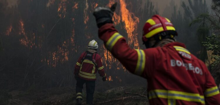 Dois incêndios em Pombal mobilizam quatro meios aéreos