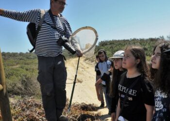 Estação da biodiversidade mostra riqueza biológica da praia do Pedrógão