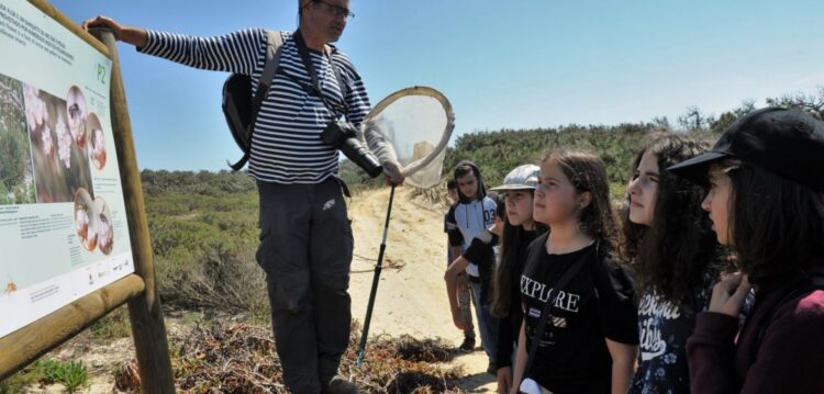 Estação da biodiversidade mostra riqueza biológica da praia do Pedrógão
