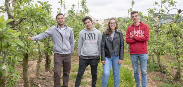Gosto pela agricultura fala mais alto:  Jovens com vontade de pôr as mãos na terra