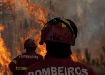 Plano de operações distrital de Leiria aposta num ataque inicial mais musculado para combater incêndios