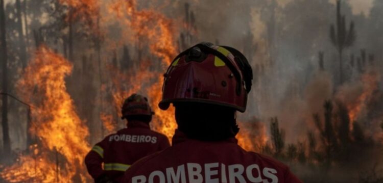 Plano de operações distrital de Leiria aposta num ataque inicial mais musculado para combater incêndios