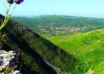 PNSAC exibe raridades da fauna e da flora em Portugal