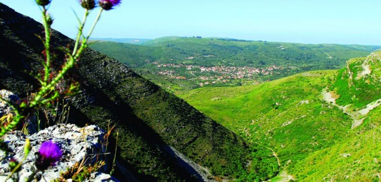 PNSAC exibe raridades da fauna e da flora em Portugal