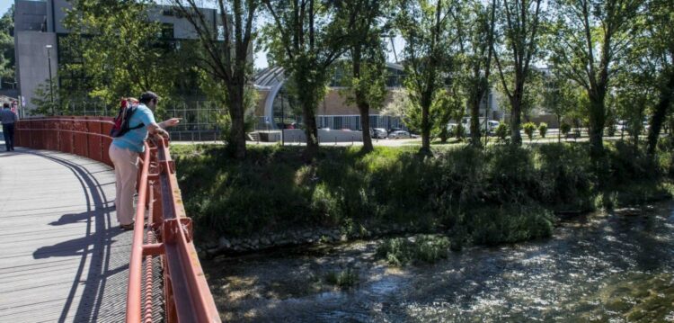 Rio Lis: esgotos da cidade já poluem mais do que suiniculturas