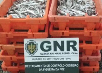 Cerca de 110 quilos de pescada doados a instituições sociais