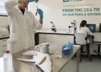 Parque de Ciência e Tecnologia para ajudar a criar novas empresas relacionadas com o mar