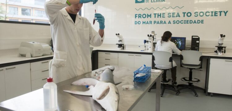 Parque de Ciência e Tecnologia para ajudar a criar novas empresas relacionadas com o mar