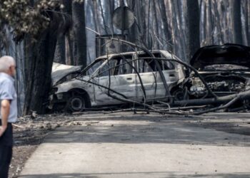 Pedrógão e Castanheira continuam sem planos de defesa da floresta