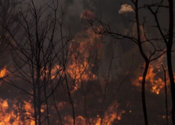 Incêndio em Alvaiázere tem duas frentes activas e cortou A13