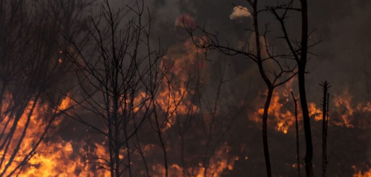 Incêndio em Alvaiázere tem duas frentes activas e cortou A13