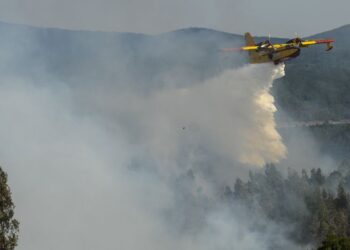 Incêndio em Pombal mobiliza sete meios aéreos