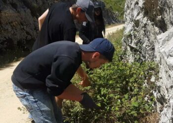 Jovens voluntários recuperam ecopista e casas em Porto de Mós