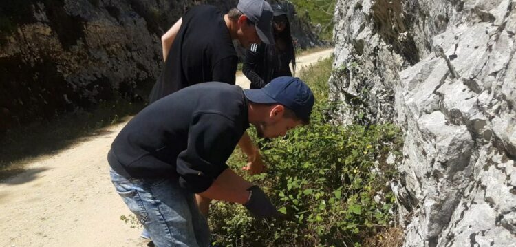 Jovens voluntários recuperam ecopista e casas em Porto de Mós