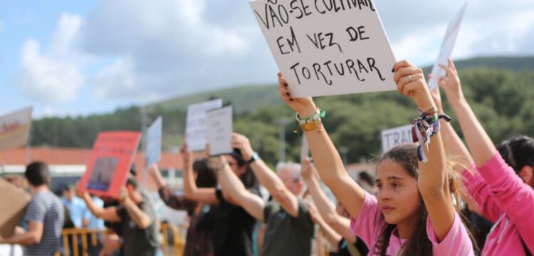Manifestantes anti-tourada queixam-se de agressões