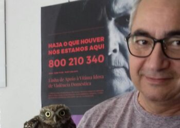 Corujas, falcões, lontras e tartarugas: 32 animais salvos pela BriPA da PSP