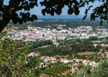 Ourém aprova apoios para requalificar 600 casas degradadas