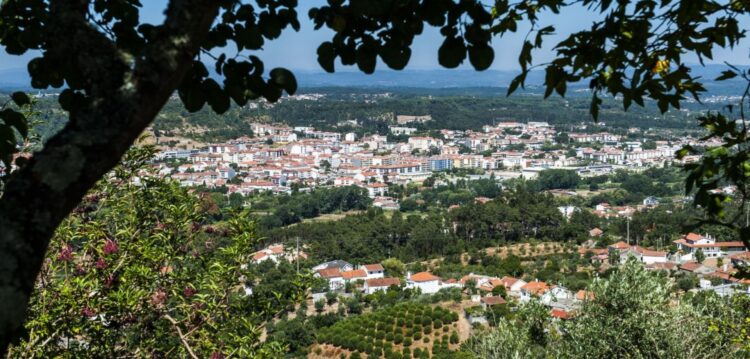 Ourém aprova apoios para requalificar 600 casas degradadas