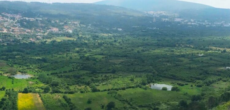 Rivais no passado, Mira de Aire e Minde dão as mãos para valorizar território