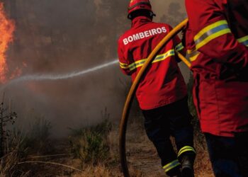 ÚLTIMA HORA: Dois incêndios em Pombal mobilizam mais de 240 bombeiros