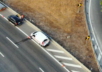 Veja os estragos provocados pela vaca em fuga, na autoestrada A19, junto a Leiria (galeria)