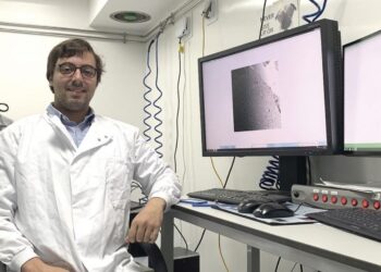 Investigação sobre metabolismo celular vale prémio a Nuno Neto