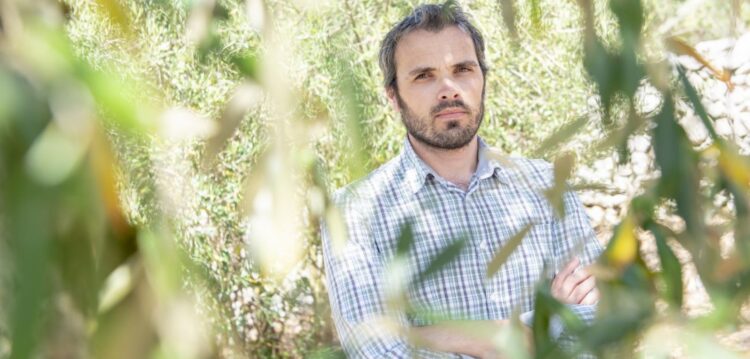 Pedro Santos: “A Quercus não é contra a exploração de lítio, mas sim contra a sua massificação”