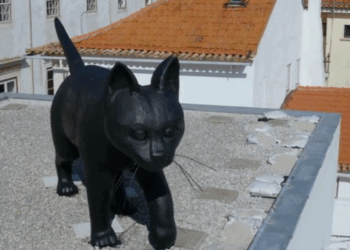 Conhece o Gato Preto, a escultura que domina os telhados de Leiria?