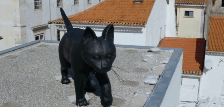 Conhece o Gato Preto, a escultura que domina os telhados de Leiria?