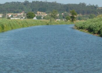 Jornadas de ambiente discutem futuro da bacia do Lis
