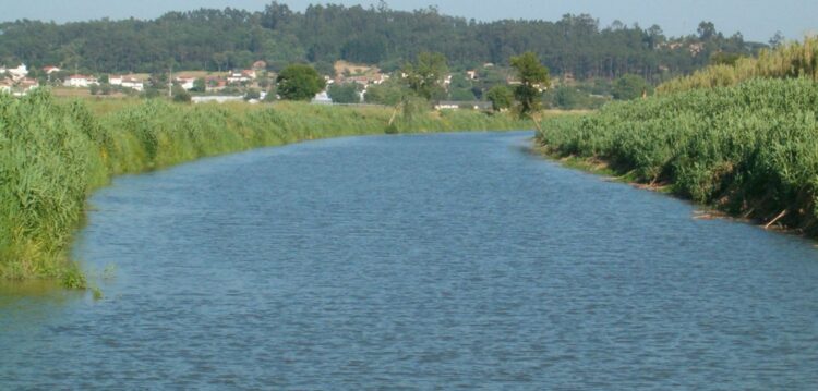 Jornadas de ambiente discutem futuro da bacia do Lis