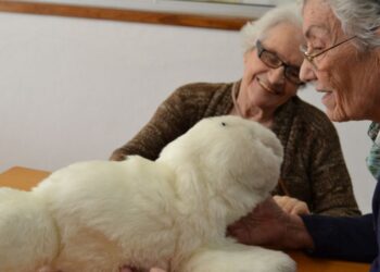 Mizi, uma foca robot que ajuda utentes com demência em Pombal
