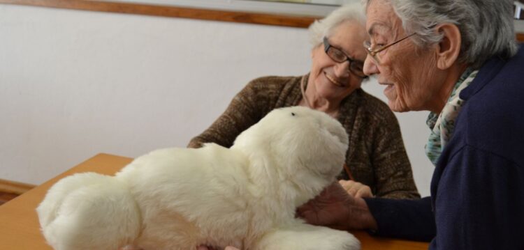 Mizi, uma foca robot que ajuda utentes com demência em Pombal
