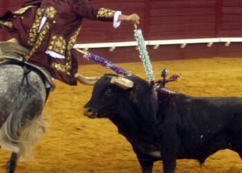 PróToiro diz que candidatura de Leiria a Capital Europeia da Cultura é cobarde