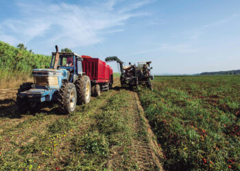 Instituto Nacional de Estatística está a fazer um Recenseamento Agrícola na região