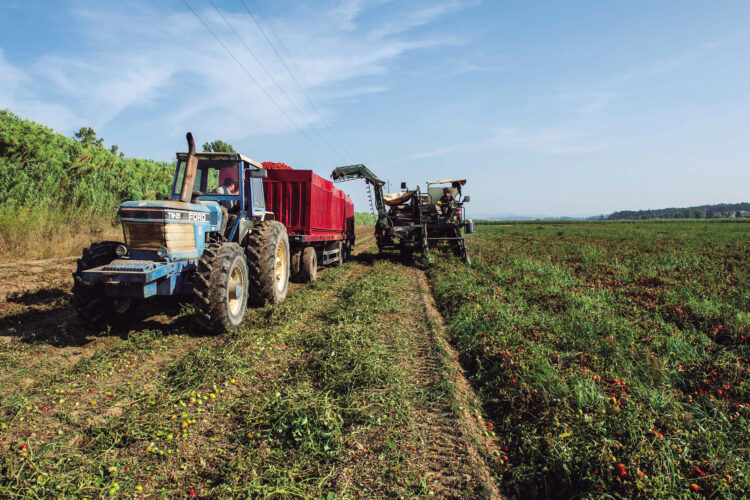Instituto Nacional de Estatística está a fazer um Recenseamento Agrícola na região
