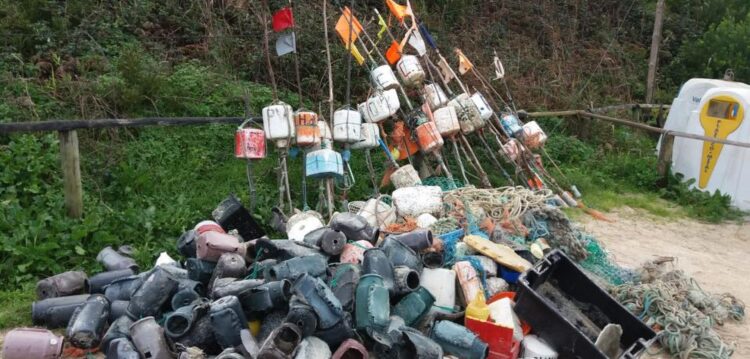 Brigada do Mar encontra 15 golfinhos em decomposição nas praias da região