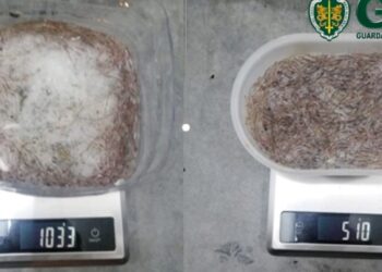 GNR prende dois suspeitos em flagrante na captura de meixão