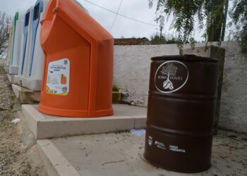 Quando a nova vida das borras de café promove o envelhecimento activo
