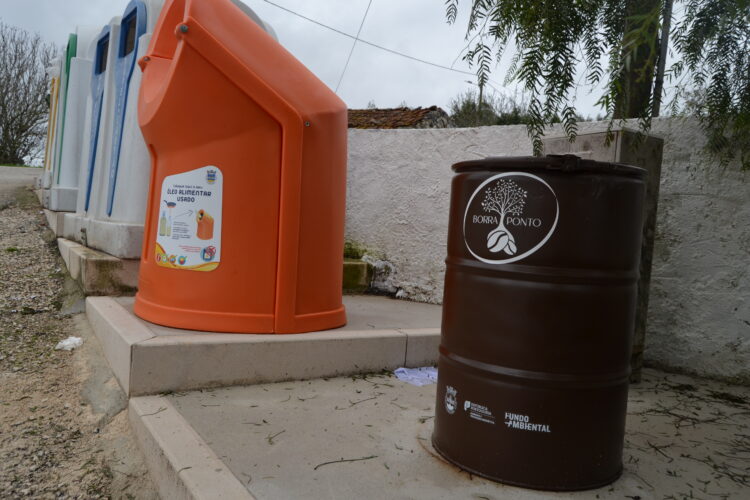Quando a nova vida das borras de café promove o envelhecimento activo