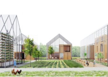 Arquitecta e engenheira de Leiria vencem concurso de urbanismo Europan na Finlândia