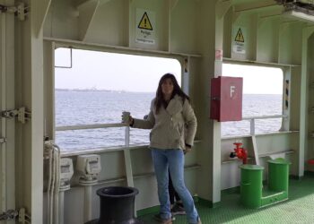 Luta para defender golfinhos do Sado contra dragagens liderada por bióloga de Leiria
