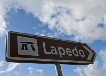Para fora cá dentro: À descoberta da floresta original do Vale do Lapedo
