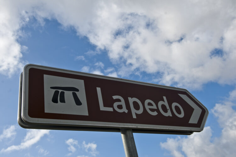 Para fora cá dentro: À descoberta da floresta original do Vale do Lapedo