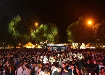 Ana Bacalhau, Carminho, Conan, David Fonseca ou Valete. Quem gostaria de ver no palco das Festas do Bodo 2020