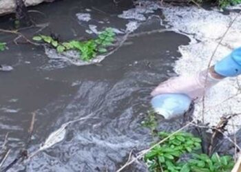 GNR identifica origem de descarga ilegal de efluentes na Caranguejeira