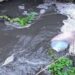GNR identifica origem de descarga ilegal de efluentes na Caranguejeira